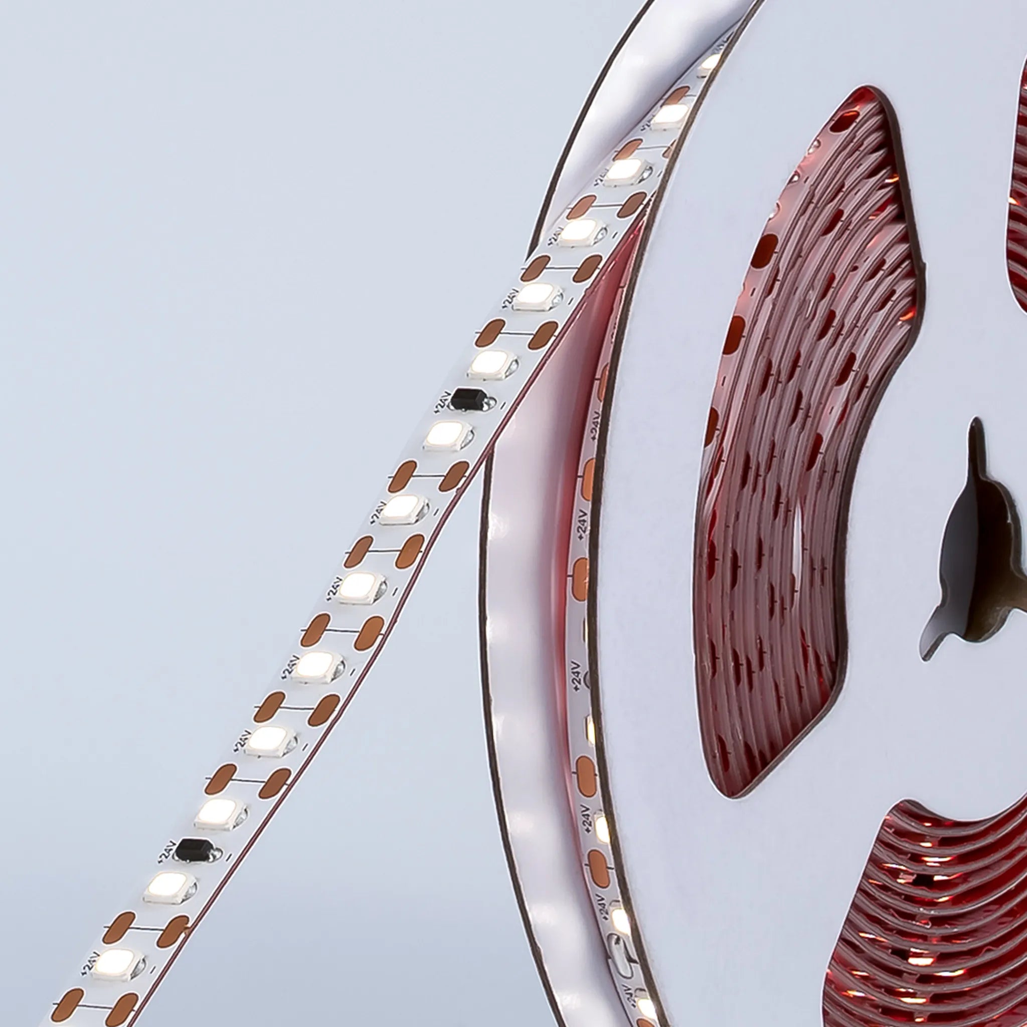 #Light colour_Cool White