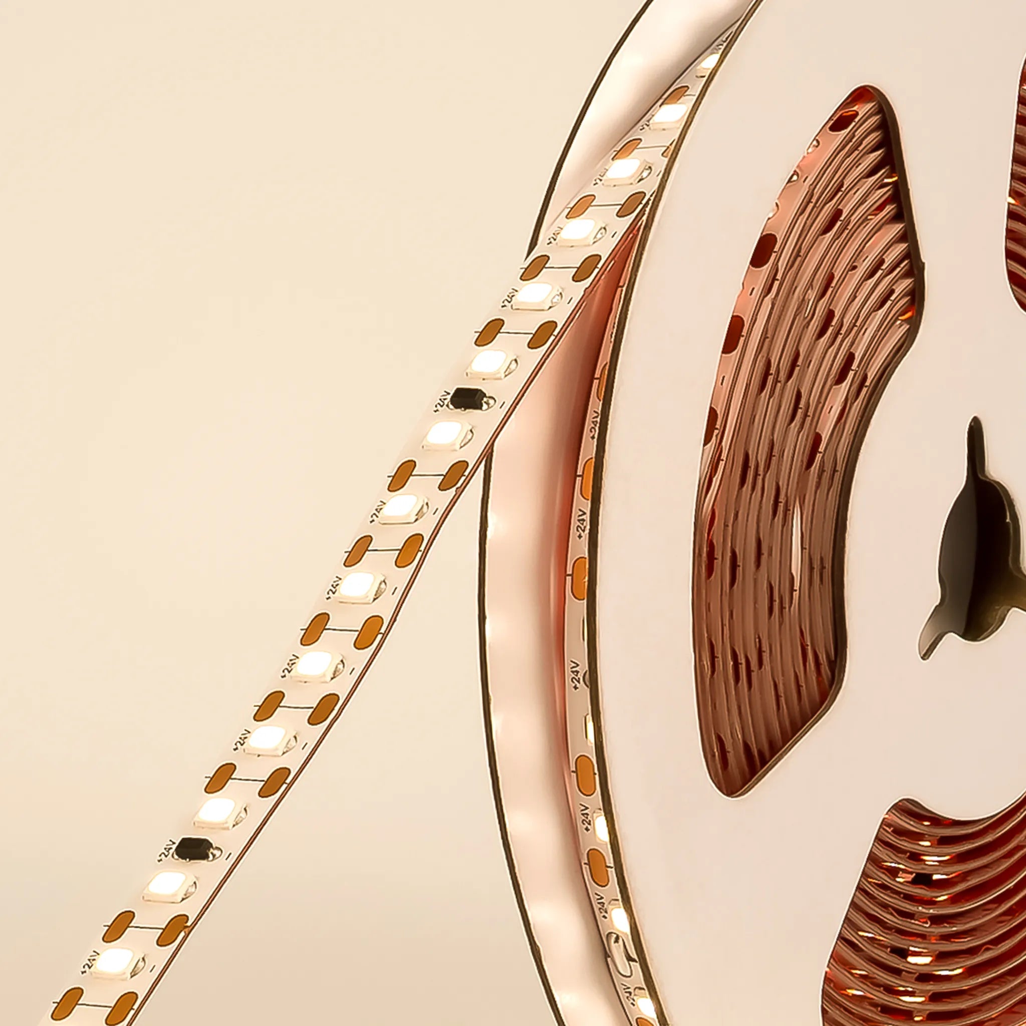 #Light colour_Warm White